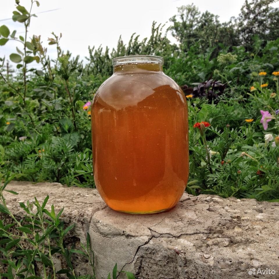 Мед кориандр. Мёд кориандровый. Кориандровый мед цвет. Мед из кориандра.