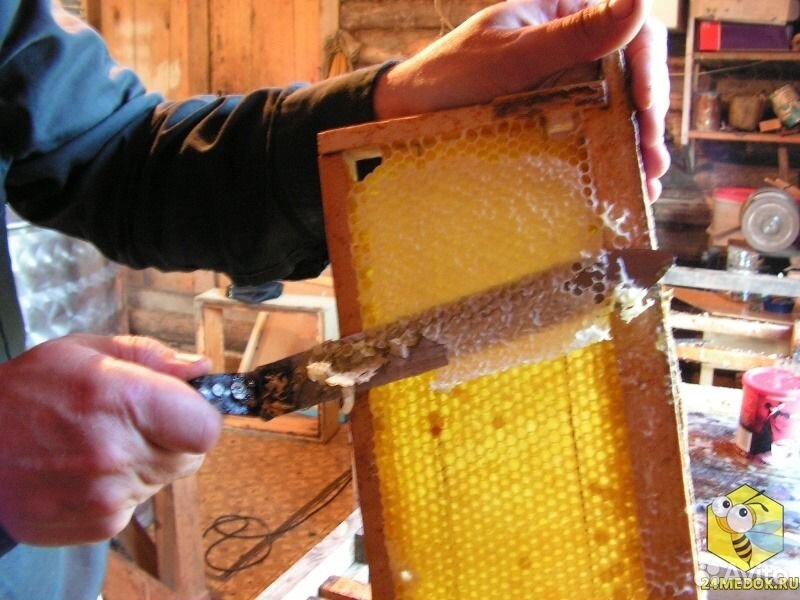 Продам натуральный пчелиный мед купить на Зозу.ру - фотография № 1