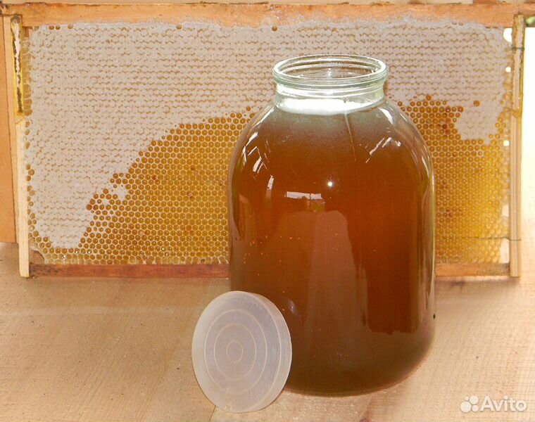 Подсолнечный мёд купить на Зозу.ру - фотография № 1