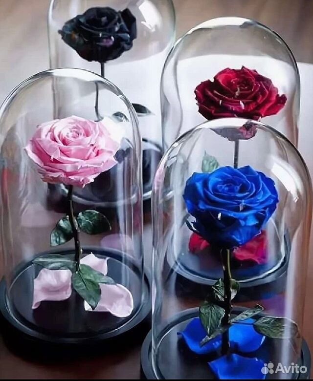 Купить розу в колбе в спб. Цветы в колбе. Цветы в стеклянной колбе.