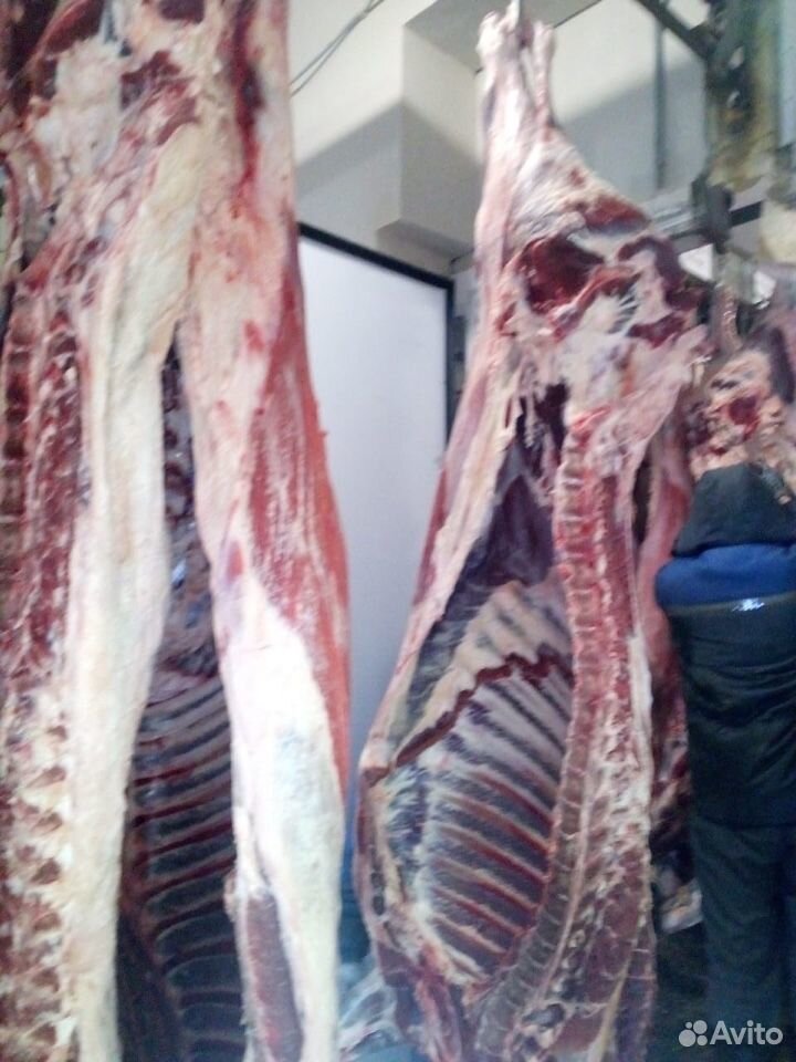 Мясокомбинат реализует мясо говядины(бык молодняк) купить на Зозу.ру - фотография № 6