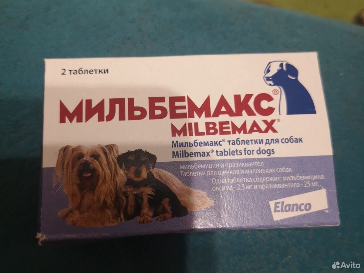 Мильбемакс для собак как давать