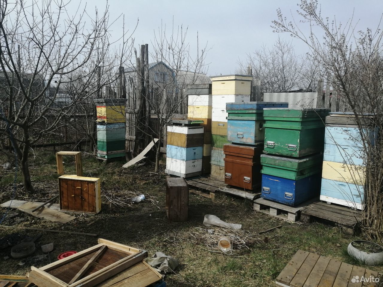 Продаются пчелы. Муром продаю пчел. Продам бу улья. Лесосибирск. Продам ульи на авито Петропавловка.