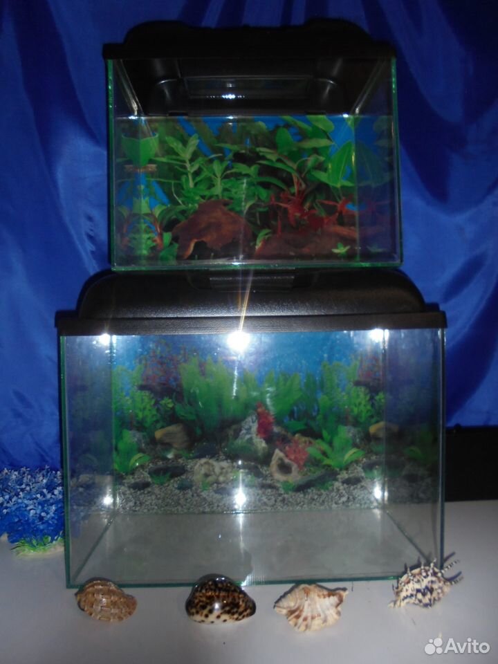 Продаю новые аквариумы ремонт купить на Зозу.ру - фотография № 2