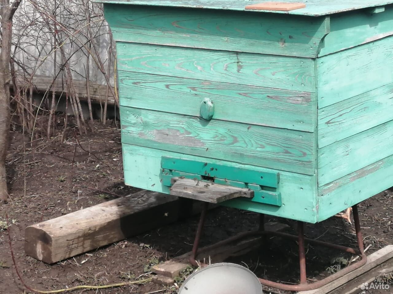Ульи с 12-14 рамками с пчёлами, дедовские ) купить на Зозу.ру - фотография № 2