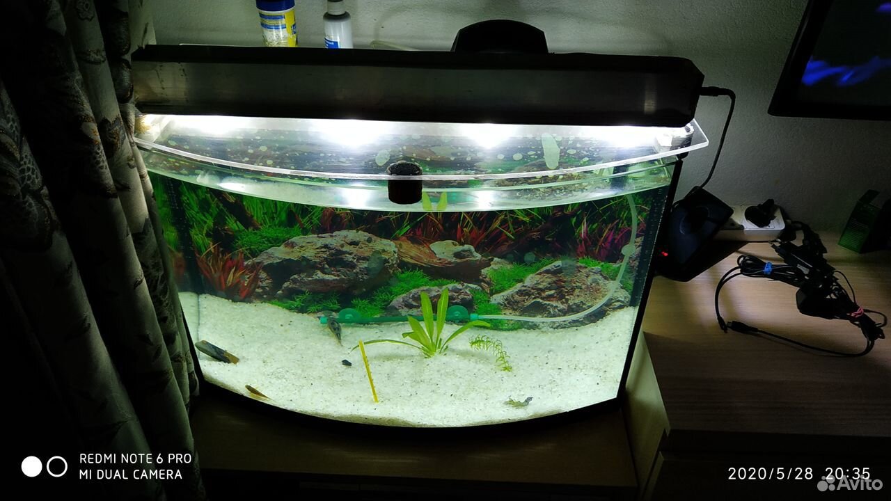 Продам аквариум 70 литров в комплекте компрессор купить на Зозу.ру - фотография № 2