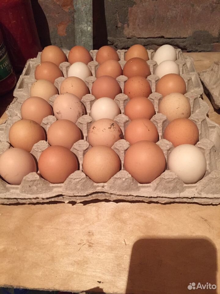 Яйца домашние на хорошем откорме лоток купить на Зозу.ру - фотография № 4