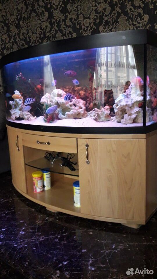 Продается аквариум juwel vizion 450 литров купить на Зозу.ру - фотография № 5