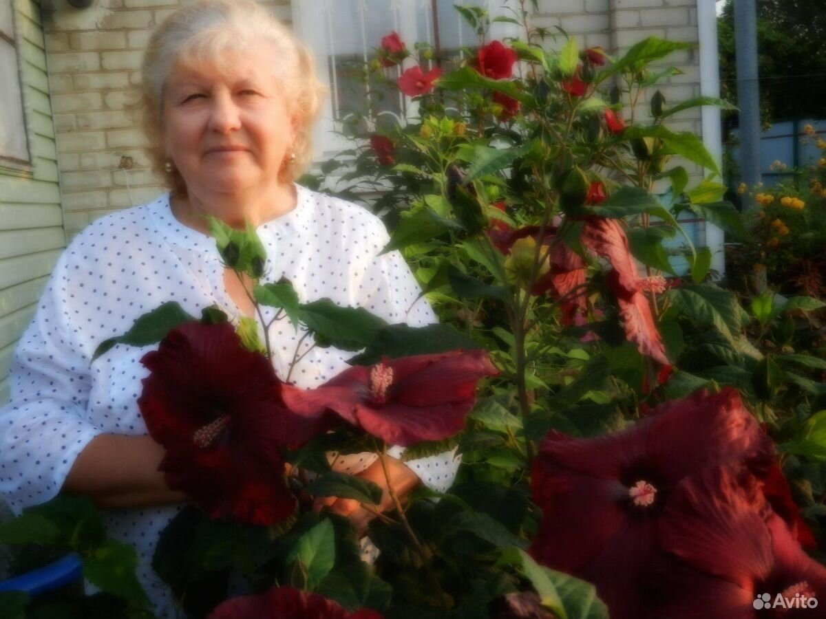 Продажа многолетних цветов и кустарников купить на Зозу.ру - фотография № 3