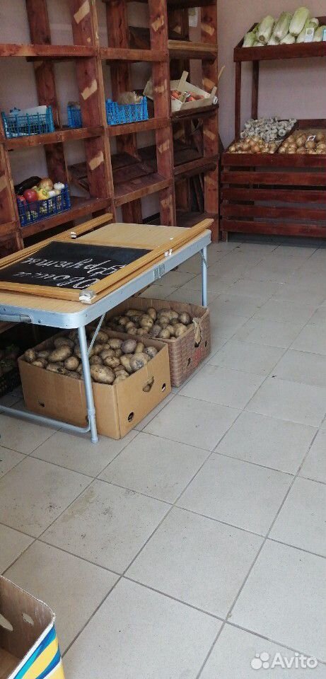 Продаю Картофель, лук урожая 2020 года купить на Зозу.ру - фотография № 8