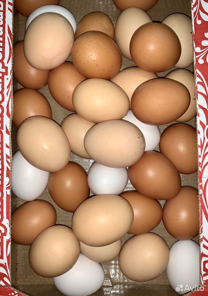 Яйца домашние купить на Зозу.ру - фотография № 1