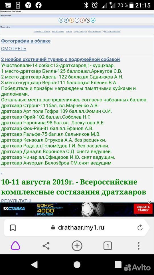 Продаю щенков дратхаара 21.07.2020 купить на Зозу.ру - фотография № 7