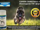 Немецкие витамины canina/ канина для кошек и собак объявление продам