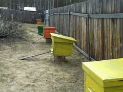 Продам пчелосемьи с улем 2 корпуса с вощиной