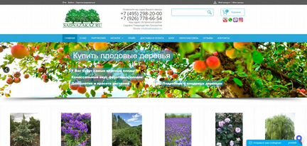 Интернет магазин крупномерных растений садназаказ