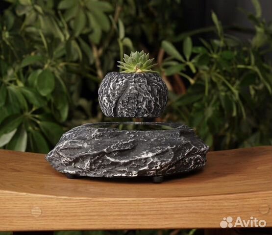 Леплант (левитирующий горшок)