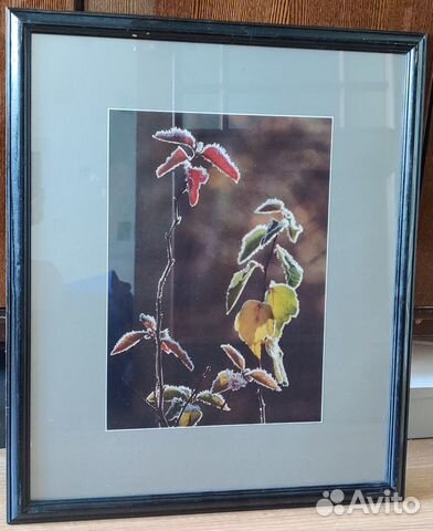 Паспарту и рамы для картин, фотоработы с выставки