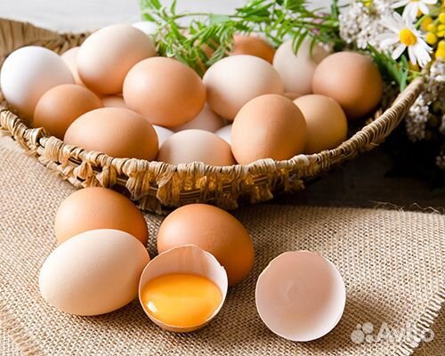 Фасовщики (цы) яиц вахтой в Новосибирск
