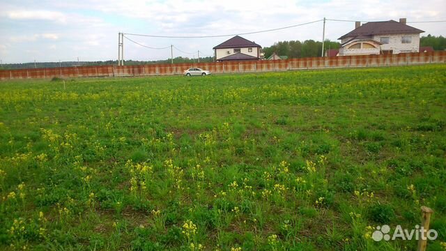 Земля жуковский. Деревня Папино. Деревня Папино Калужская область Жуковский район картинки.