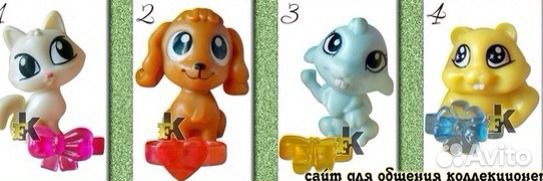 Животные с колечками