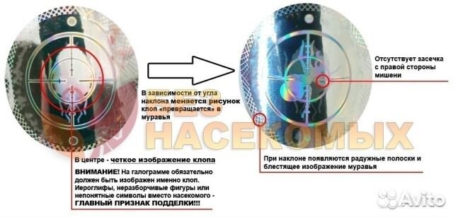 Палач средство от клопов