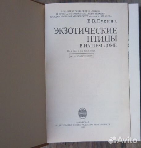 Экзотические птицы в нашем дом.Е. В. Лукина