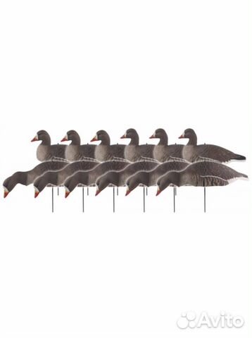 Комплект скорлупок белолобого гуся greenhead gear Комплект скорлупок белолобого гуся greenhead gear