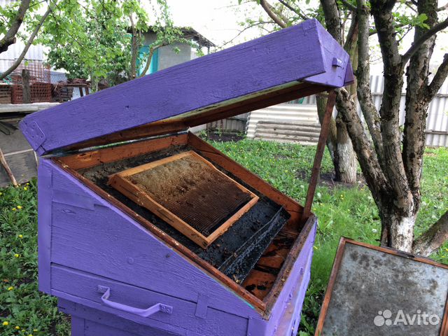 Фляги алюминиевый, и инвентарь для пчеловодства купить на Зозу.ру - фотография № 2
