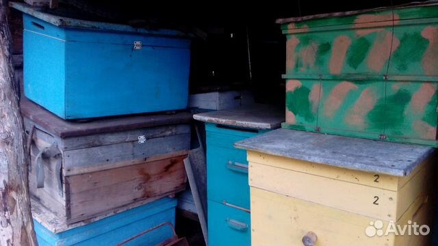 Улья, ловушки и рамочки для пчёл купить на Зозу.ру - фотография № 7