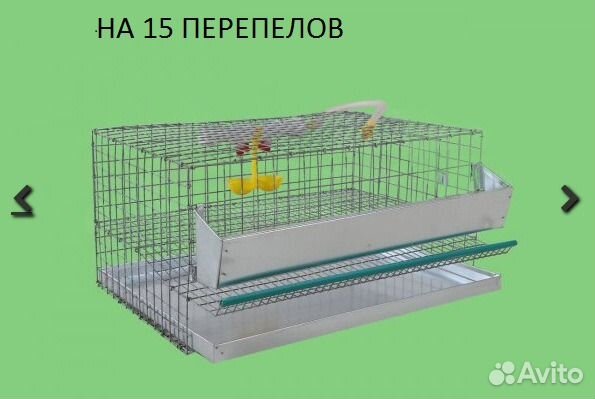 Клетки для перпелов купить на Зозу.ру - фотография № 2