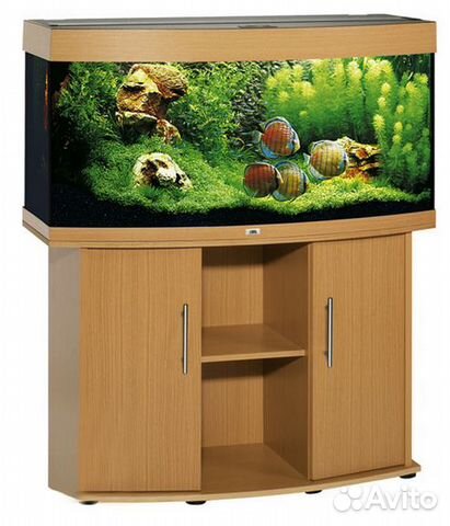 Продаю элегантный панорамный аквариум juwel vision купить на Зозу.ру - фотография № 1