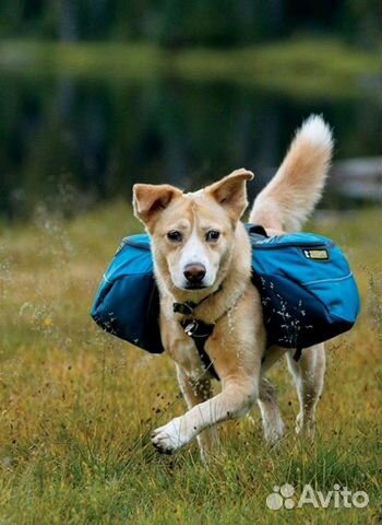 Рюкзак для собак купить на Зозу.ру - фотография № 1