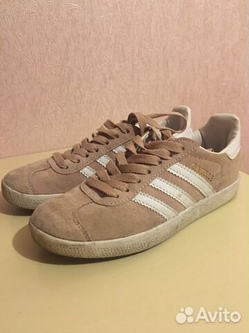 gazelle 37