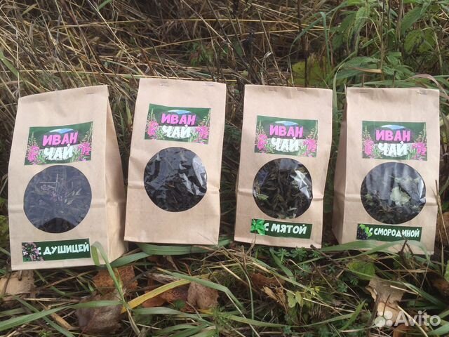 Ivan tea