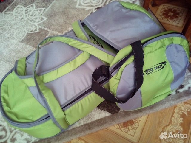 Коляска-трансформер (зима-лето) Коляска-трансформер (зима-лето)