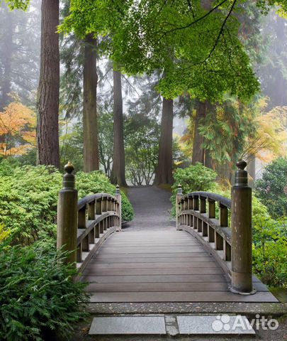 Фотообои на стену Фотообои на стену