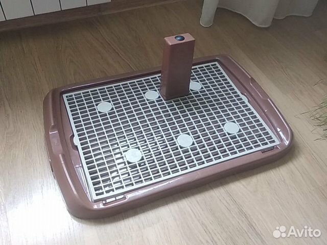 Лоток для собак