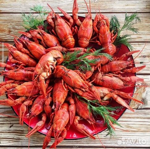 Раки живые