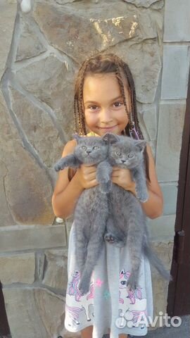 Кошка Кошка