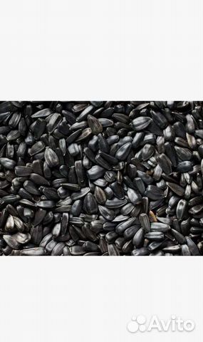 Семечки подсолнечника для птиц и грызунов 1 кг