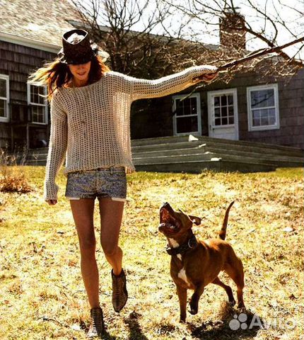 Передержка/Выгул собак