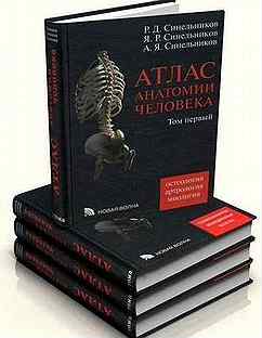 Атлас анатомии человека р. Атлас анатомии человека р. Атлас анатомии человека в 3 х томах. Синельников атлас. Атлас анатомии человека синельников 1989 в 2 томах.