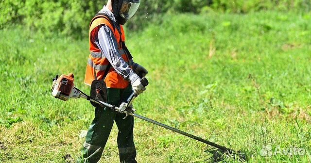 Рабочие по озеленению