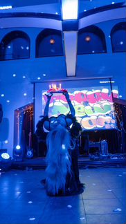 Шоу балет indira на вашем празднике