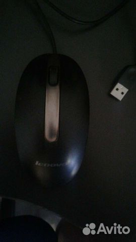 Мышь