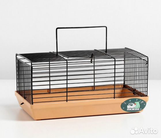 Хомячок джунгарский 2 месяца с клеткой