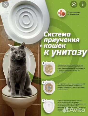 Система приучения кошек к унитазу