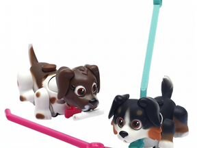 Pet Club Parade игровой набор 2 собачки с косточко