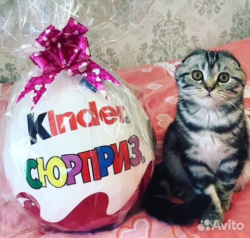 Большой киндер сюрприз подарок