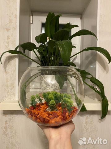 Флорариум/Аквариум + подарок камушки